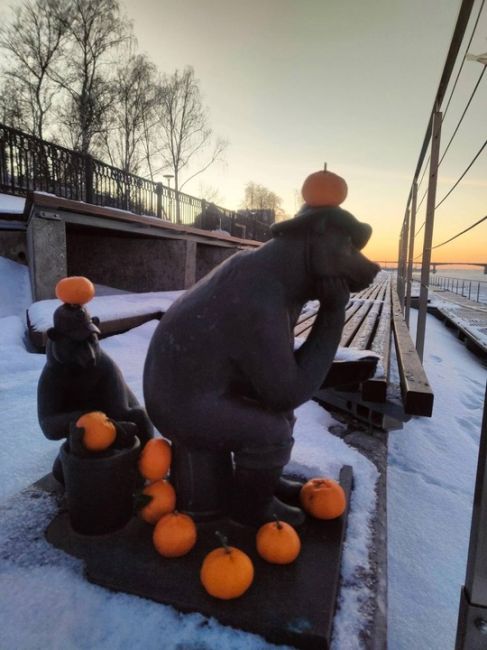 Мандариновое нашествие на пермских медведей 🍊🍊🍊

Фото: Оксана..