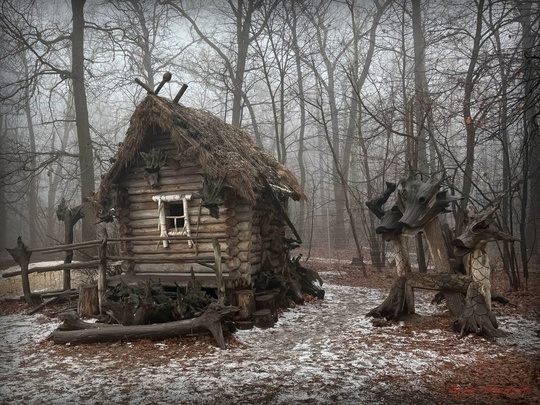 «Олимпик» сегодня похож на таинственный лес

Фото:..