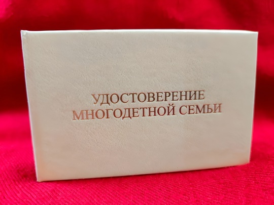 В Волгограде многодетным семьям начали выдавать удостоверения нового образца! 👏🤩

❗️ Удостоверение..