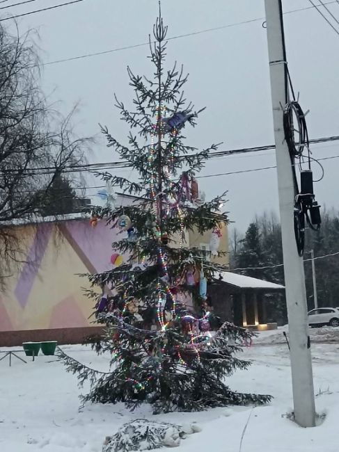 💙Зеленая «красавица» из Красной Слободы. 
 
Под конец года очень понимаем ее..