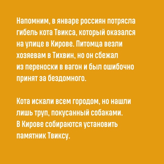 За кота, гибель которого в начале года взволновала страну, никто не..