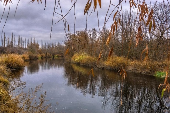 Красоты Ростовской области. 

Фото: Сергей..