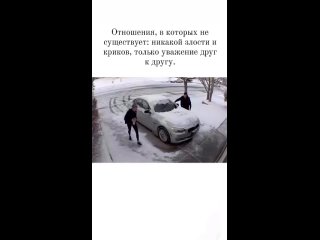 Это сколько нужно транквилизатора наглотаться, чтобы иметь такое..