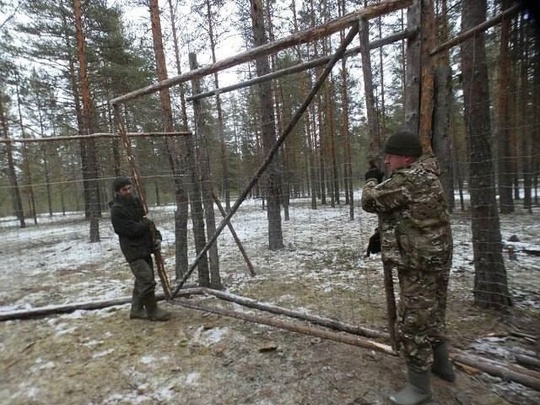 🦌 В Керженском заповеднике появится новый вид северных оленей. 
 
Сотрудники заповедника отправились в..