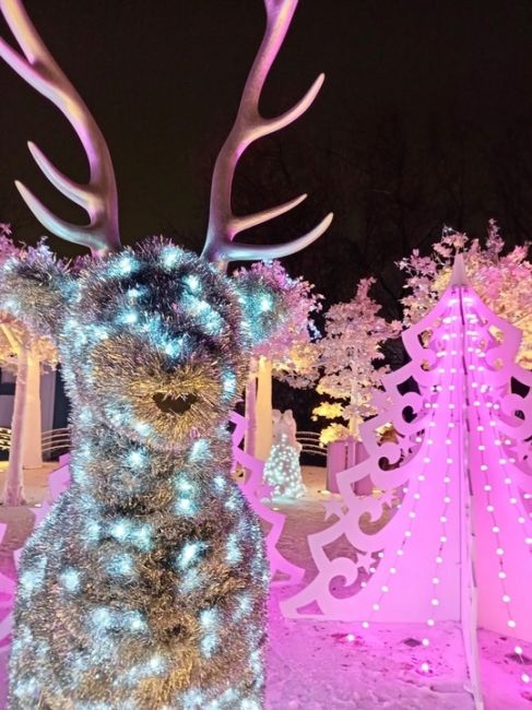 Новогодние декорации в Сокольниках 🎄.

Фото: Ксения..