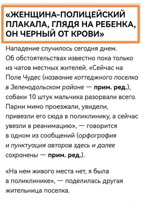 7 бездомных собак разгуливают в центре Омска - прям возле Торгового..