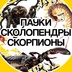 Реклама: ИП Ахмедов Магомед Ахмедович, ИНН 052801190905, ERIDКуда сходить детям и взрослым?!
Одно из лучших мест в Челябинске.

Живые пауки, ящерицы, скорпионы, змеи и..