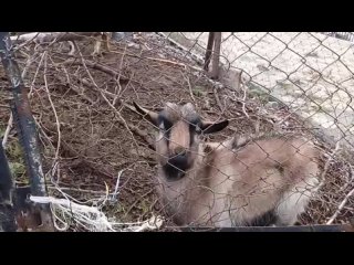 Наши подписчики прислали видео парка, который открыли в Белой Калитве. За 300 миллионов рублей. Его, кстати,..