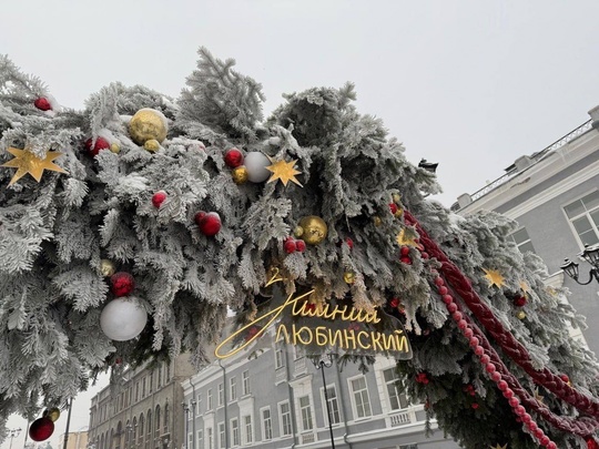 Омичи делятся фотографиями с Зимнего..