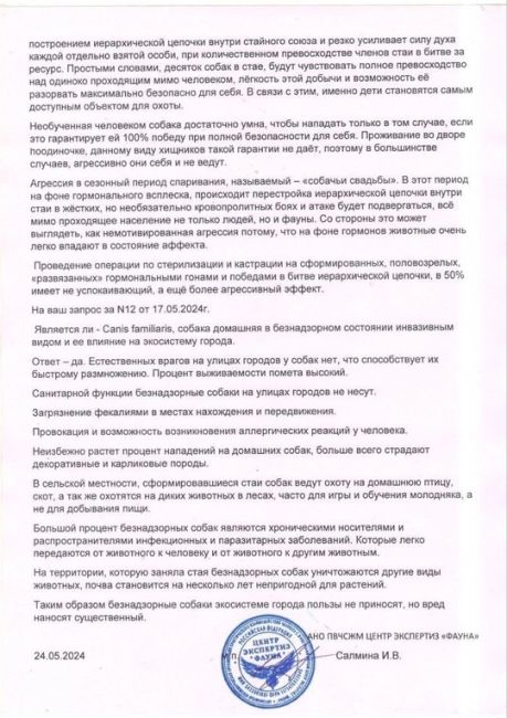 В микрорайоне Амур-2 большая проблема с бродячими собаками, которые остаются после строек. И зачем то их еще..