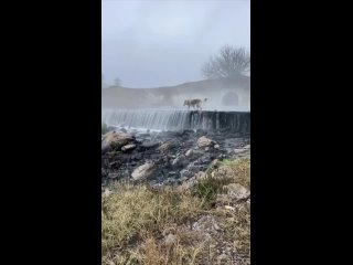 Елизаветинский водопад 💦 

Главное не думать о том, что это вода из очистных сооружений😌

📍 45.061926,..