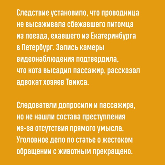 За кота, гибель которого в начале года взволновала страну, никто не..