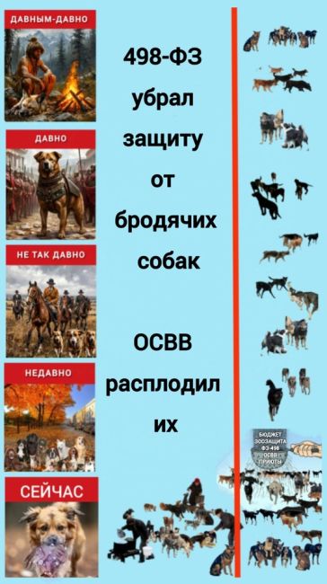 В микрорайоне Амур-2 большая проблема с бродячими собаками, которые остаются после строек. И зачем то их еще..