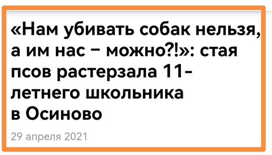 7 бездомных собак разгуливают в центре Омска - прям возле Торгового..