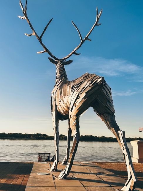 Величественные головы оленей 💟

🦌Площадь Октябрьская 
🦌У Чкаловской лестницы
🦌В..