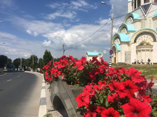 🌷В Самаре в 2025 году планируют высадить цветы в 150 скверах, бульварах и аллеях, а также на 14 развязках 
 
Общая..