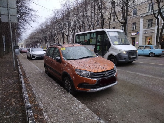 На улице Мира на Ладу "напали" голуби..