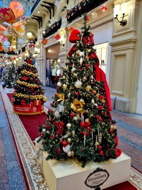 Парад ёлочек в ГУМе 🎄 
 
Фото: Ишевских..