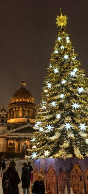 ☃️Настоящая зима наконец-то пришла в Петербург

С вечера пятницы в городе выпало почти 40% от месячной нормы..