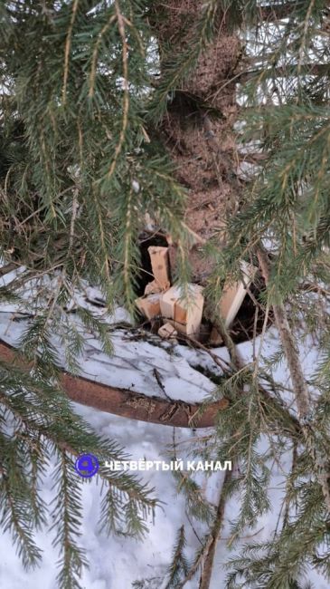 🎄В Академическом ёлку установили в канализационный люк, подперев её..