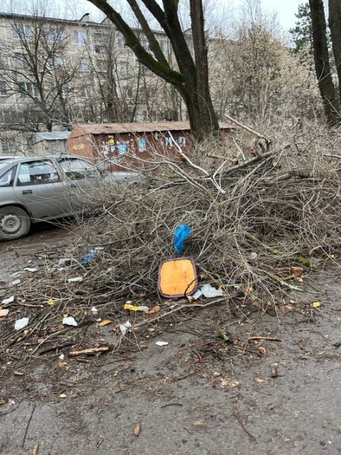 На сухие ветки, валяющиеся на Волкова, 10, жалуются местные жители. Читательница рассказывает, что ждали год,..