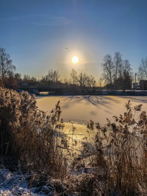 Такое редкое солнце декабря над Сормовским озером ☀️

Фото: [id492844872|Маша Фромраша]..