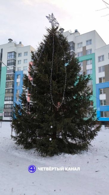 🎄В Академическом ёлку установили в канализационный люк, подперев её..