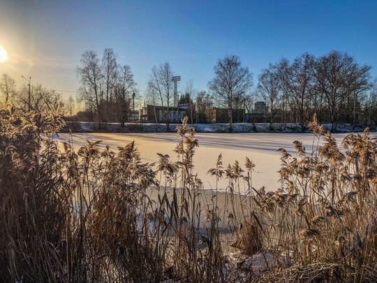 Такое редкое солнце декабря над Сормовским озером ☀️

Фото: [id492844872|Маша Фромраша]..