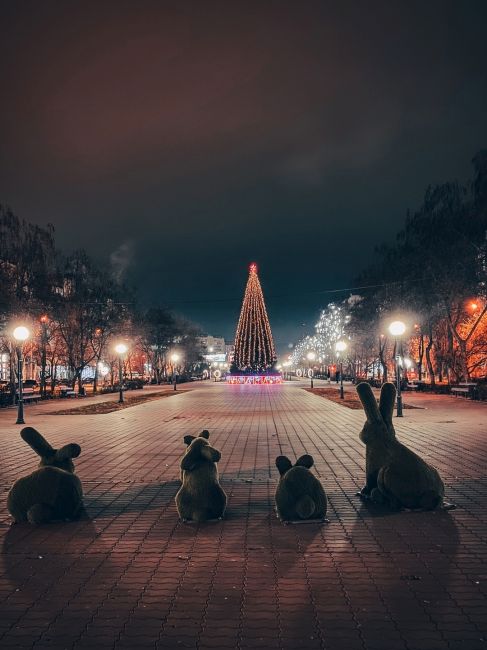 ​А что всё центр да центр? 🫣 Посмотрите, какой красивый предпраздничный Красноармейский район!..