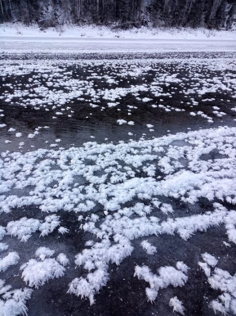 ❄ Ледяные цветы на Чусовой

Впечатляющие скопления ледяных кристаллов, созданных природой в холодные..