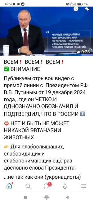 7 бездомных собак разгуливают в центре Омска - прям возле Торгового..