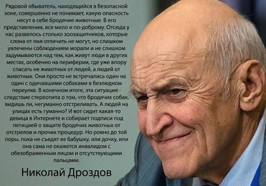 7 бездомных собак разгуливают в центре Омска - прям возле Торгового..