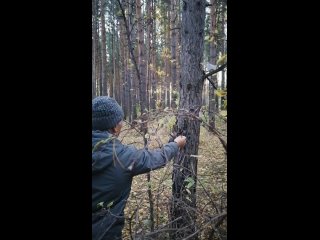 Миленькая обитательница Мамаева кургана! 🐿❤

А к вам когда-нибудь приходила белочка?..