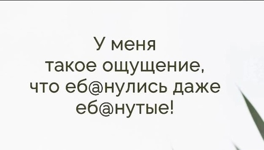 Ничего необычного, просто волгоградец на улице 7-ой Гвардейской выгуливает свою игрушечную собачку!..