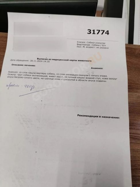 «Следы удушья, насилия и ударов»: подробности убийства собаки в Башкирии, которую скинули из окна..