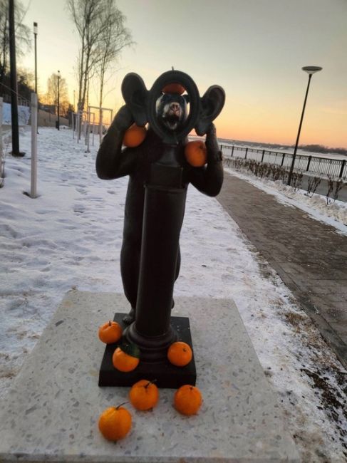 Мандариновое нашествие на пермских медведей 🍊🍊🍊

Фото: Оксана..