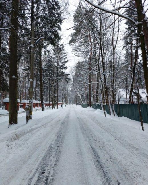 Переделкино — легендарный городок писателей.
 
Фото:..