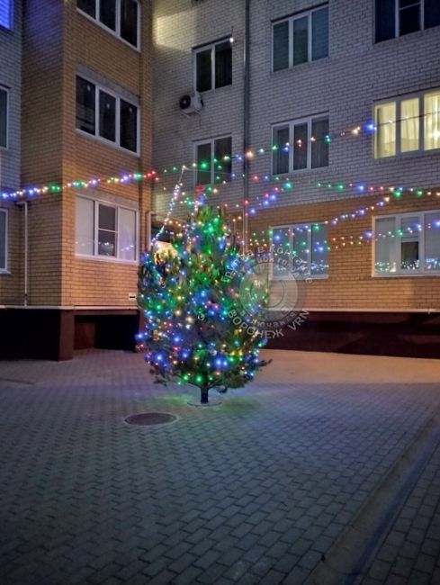 Жители Воронежской области готовятся к Новому году..