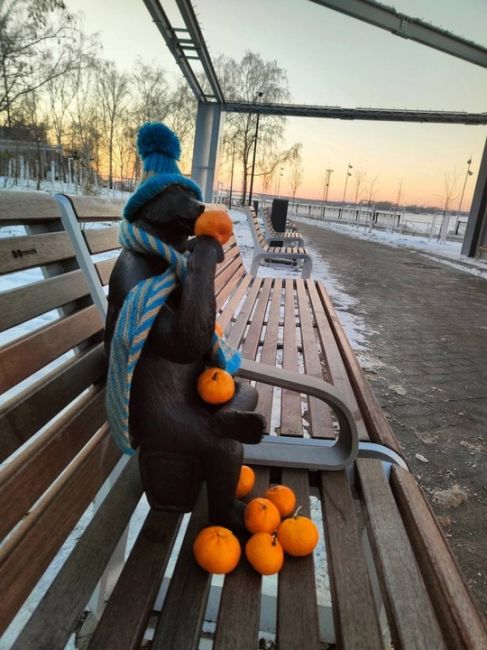 Мандариновое нашествие на пермских медведей 🍊🍊🍊

Фото: Оксана..