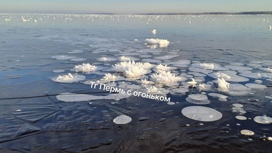 Вау! Ледяные цветы на Каме от нашего читателя..