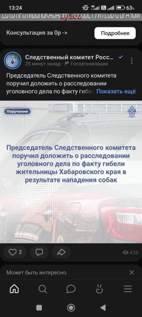 В Омской области хотят сократить численность бездомных собак

В омском законодательном собрании..