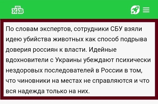 7 бездомных собак разгуливают в центре Омска - прям возле Торгового..