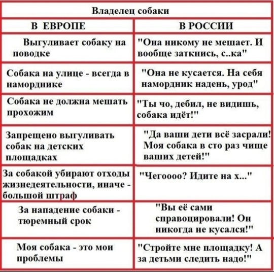 Еще один случай живодерства произошел на днях в Батайске. У местной жительницы пропала собака, а когда она..