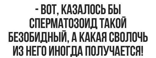 Напротив Маркса 18/1, движение по встречной полосе на красный свет практически по..