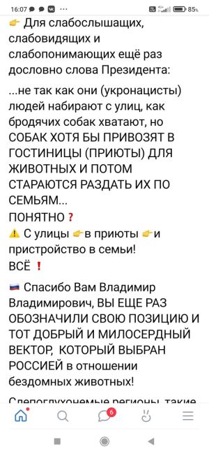 7 бездомных собак разгуливают в центре Омска - прям возле Торгового..