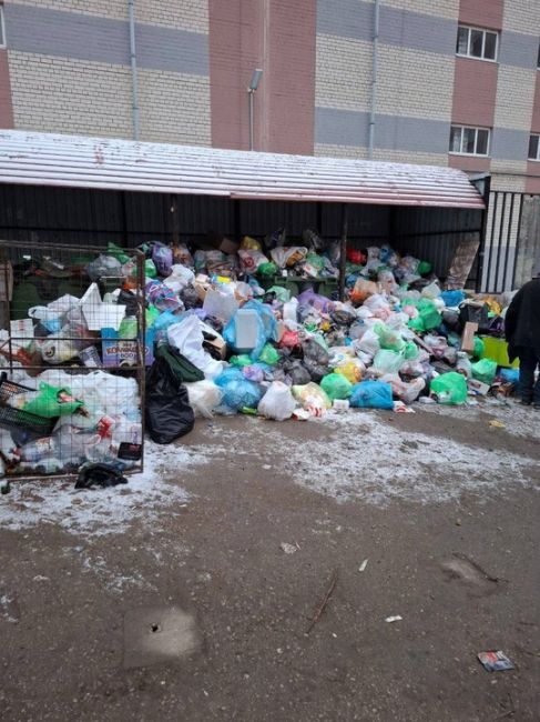 Ситуация с вывозом мусора в Самаре становится все хуже и..