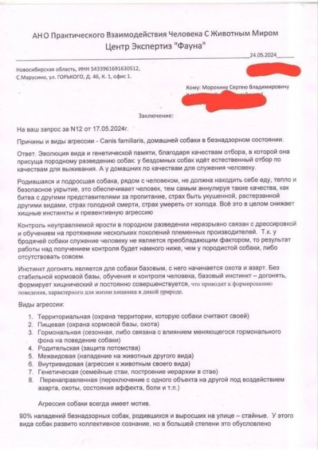 В микрорайоне Амур-2 большая проблема с бродячими собаками, которые остаются после строек. И зачем то их еще..