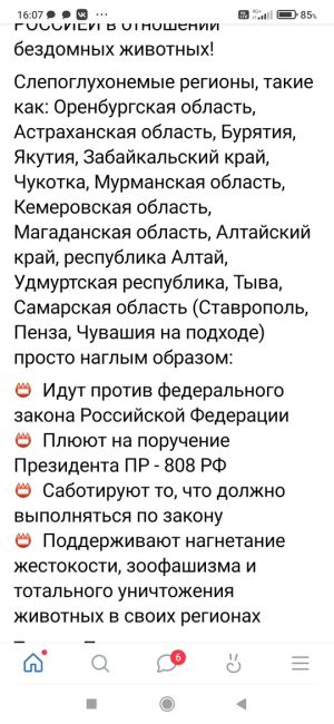 7 бездомных собак разгуливают в центре Омска - прям возле Торгового..