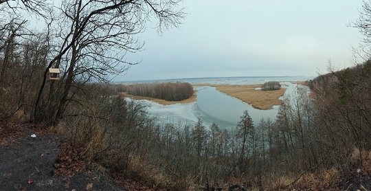 Вот она какая, зима в Воронежской области. Вместо снега..