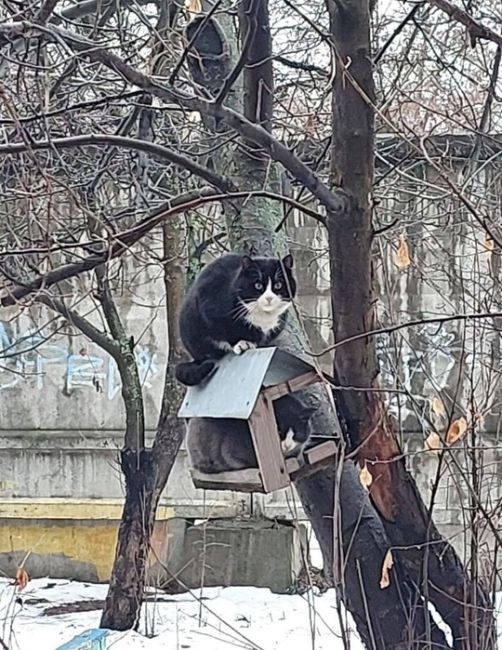 В Мытищах заметили очень упитанных..